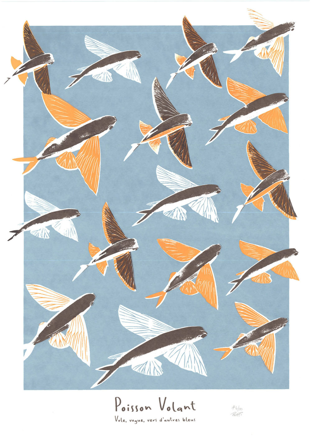 poisson volant