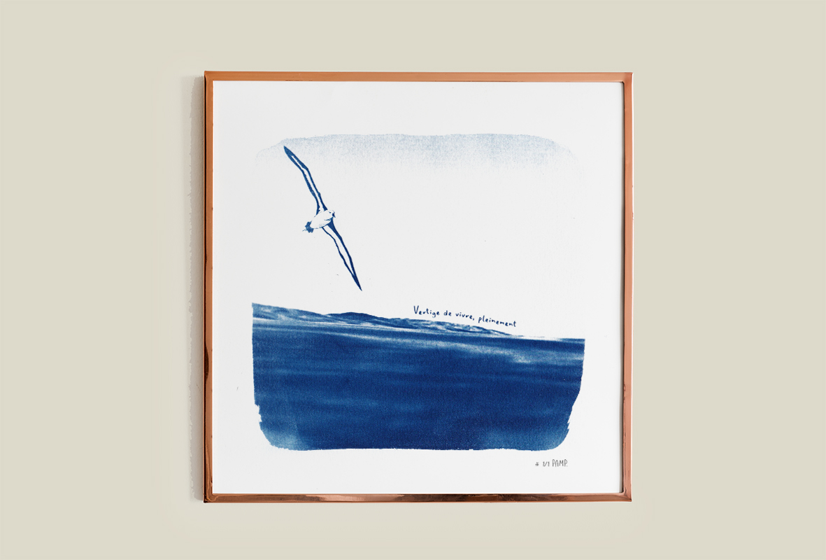 vertigedevivre cyanotypealbatros